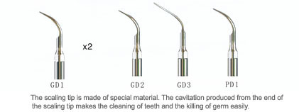 Woodpecker D1 Dental Piezo Scaler CE FDA SATELEC Style  